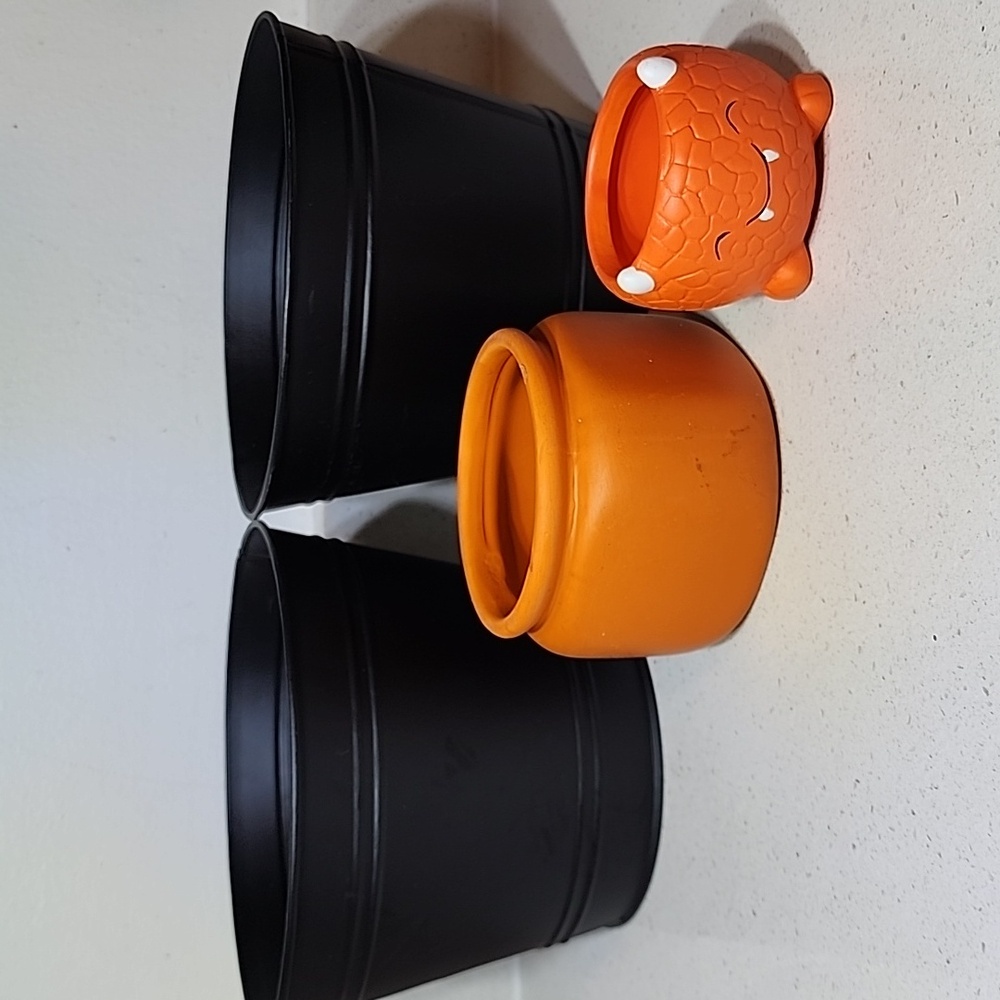Set of 2 Black Flower Pots and 2 ceramic Pots.